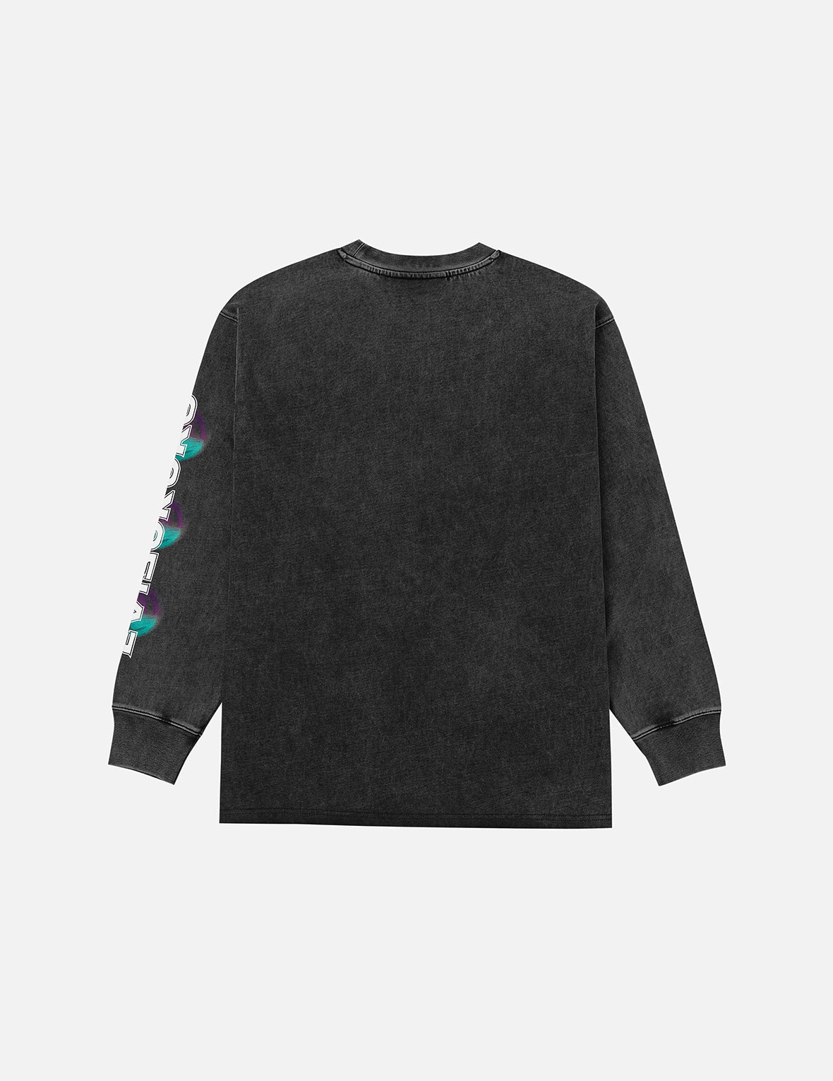 EVISUKUROとカモメプリント リラックスフィット 長袖 Tシャツ