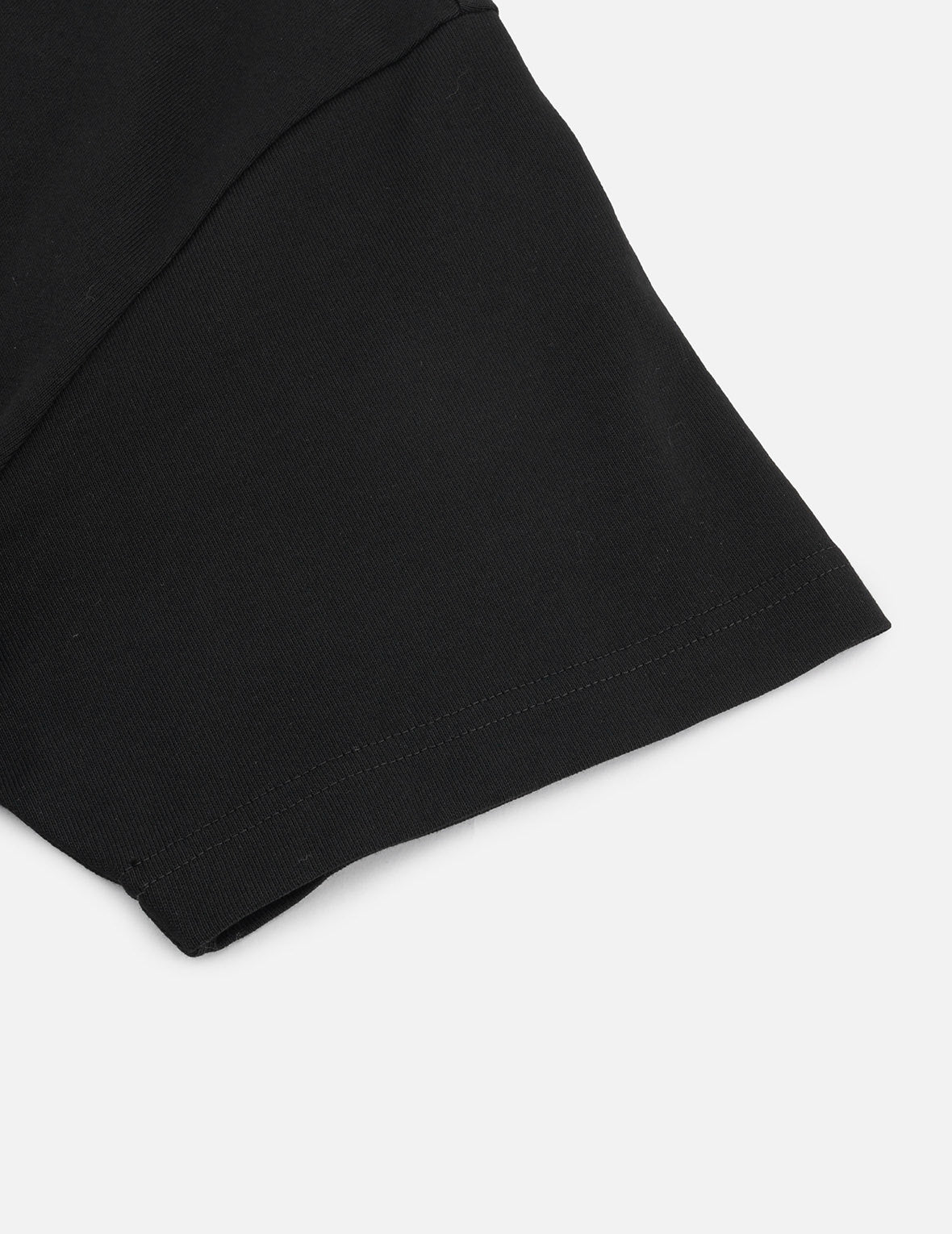 Seagull Embroidery and Logo Print Regular Fit T-shirt