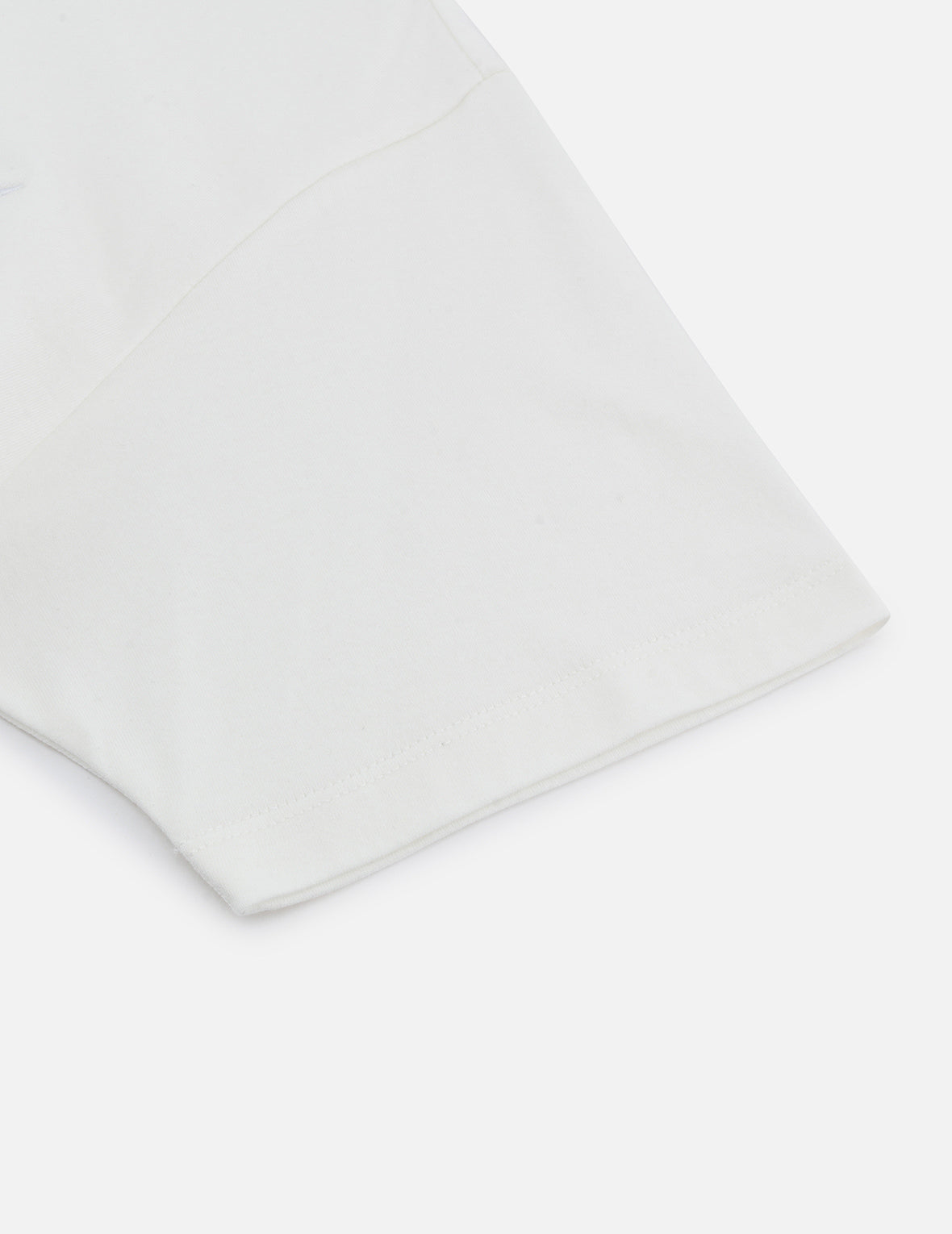 Seagull and Hummingbird Print Cropped T-shirt