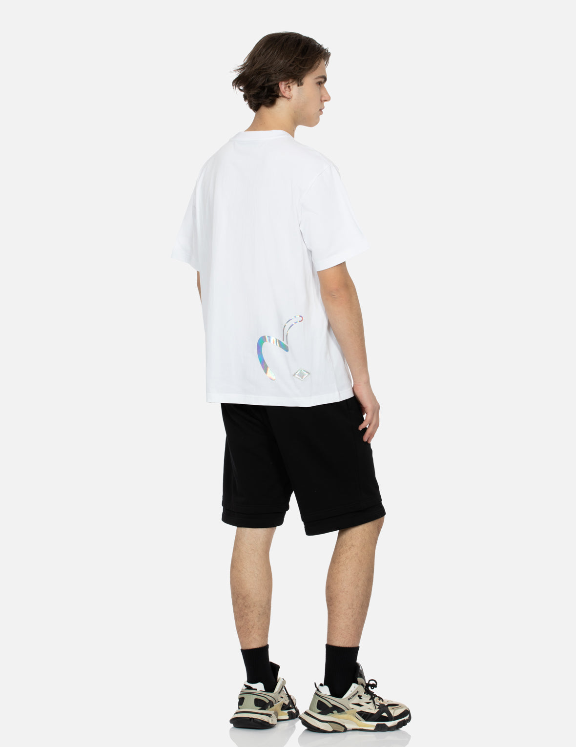 家紋と虹色のカモメプリント レギュラーフィット Tシャツ
