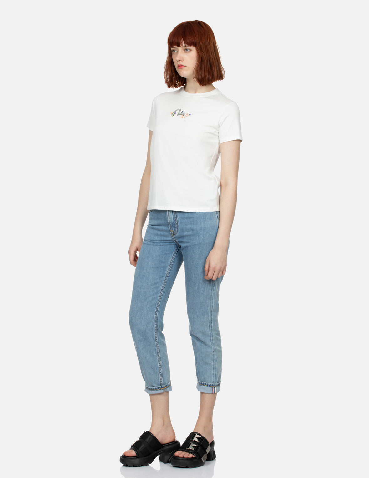 ツルと藤の花 プリント レギュラー フィット Tシャツ