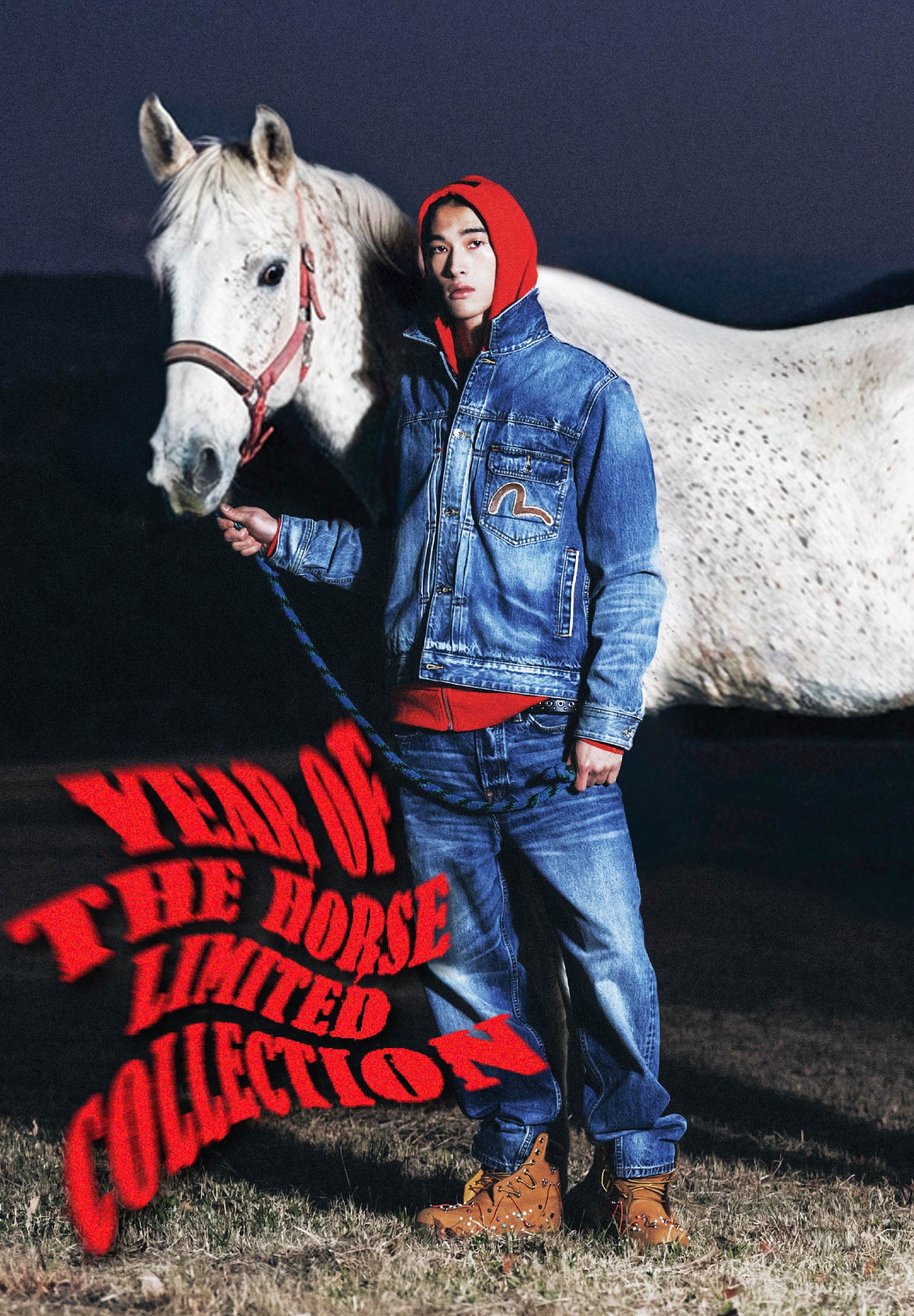 evisu/黄色/デニム/戎/エビス EVISU エヴィス ジーンズ Jeans No2 戎 黄カモメ