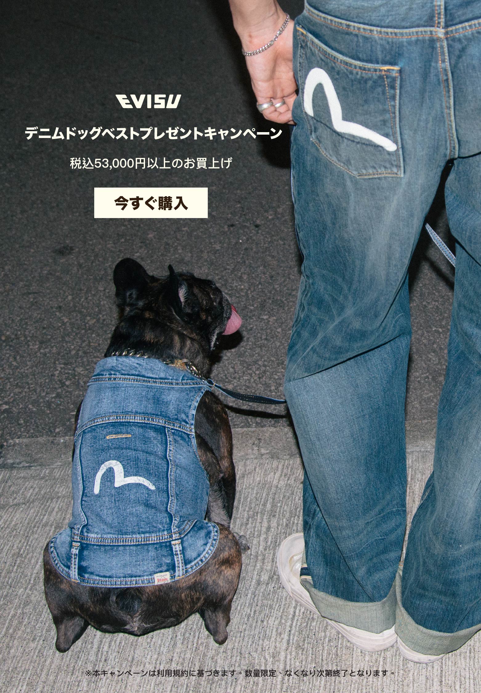 Evisu Official Site | Iconic Japanese Denim Brand – EVISU