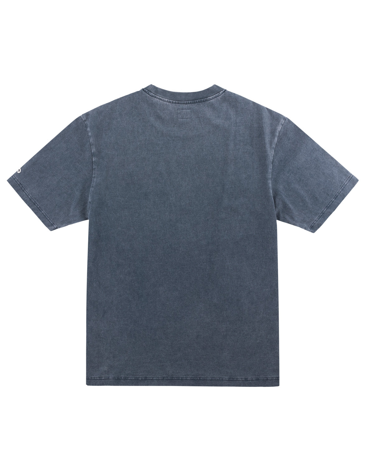 ウォッシュ加工 EVISUロゴ カモメTシャツ