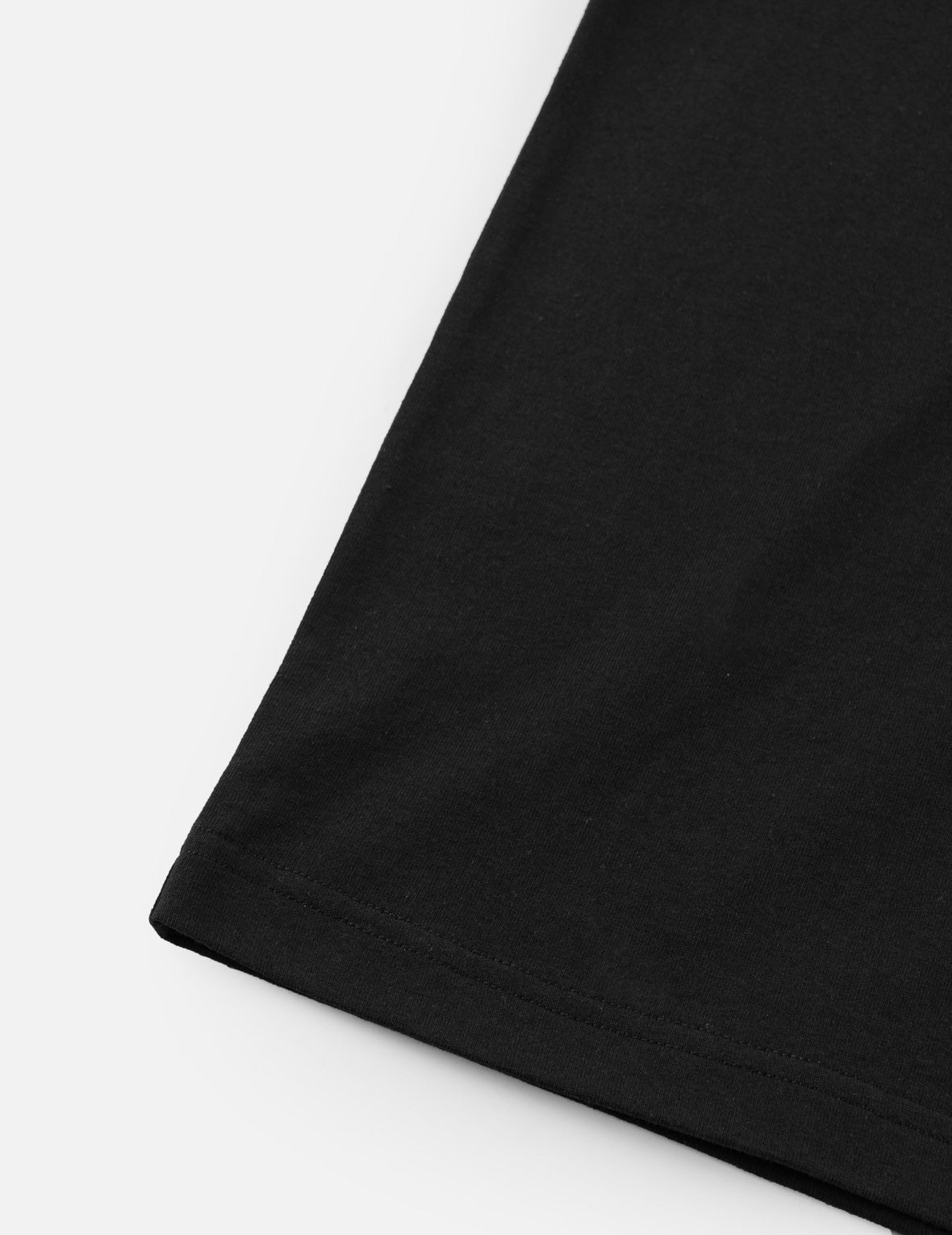 タイガー EVISU Tシャツ