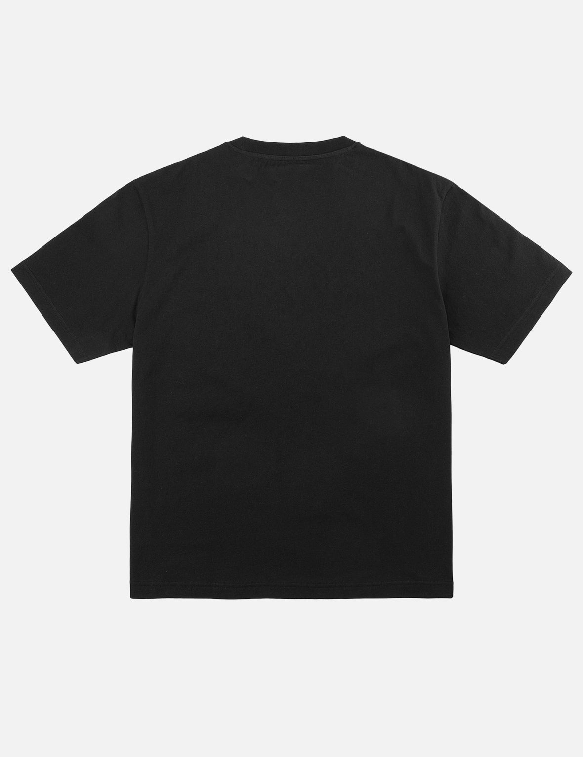 タイガー EVISU Tシャツ