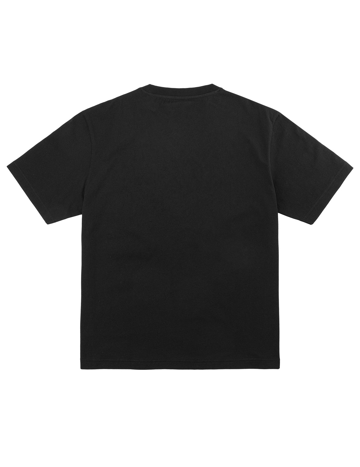 タイガー EVISU Tシャツ