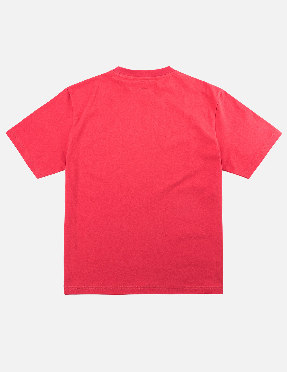タイガー EVISU Tシャツ