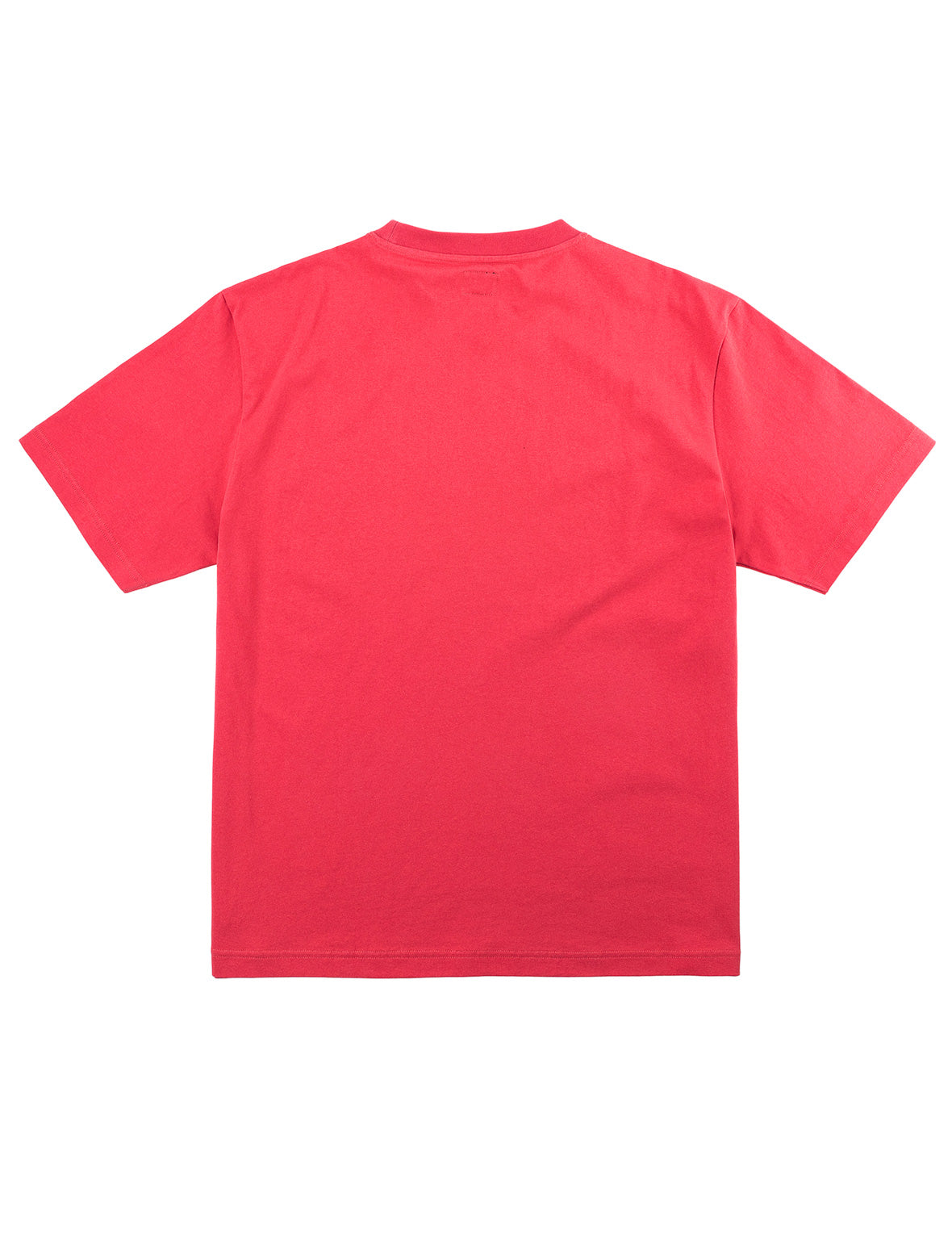 タイガー EVISU Tシャツ