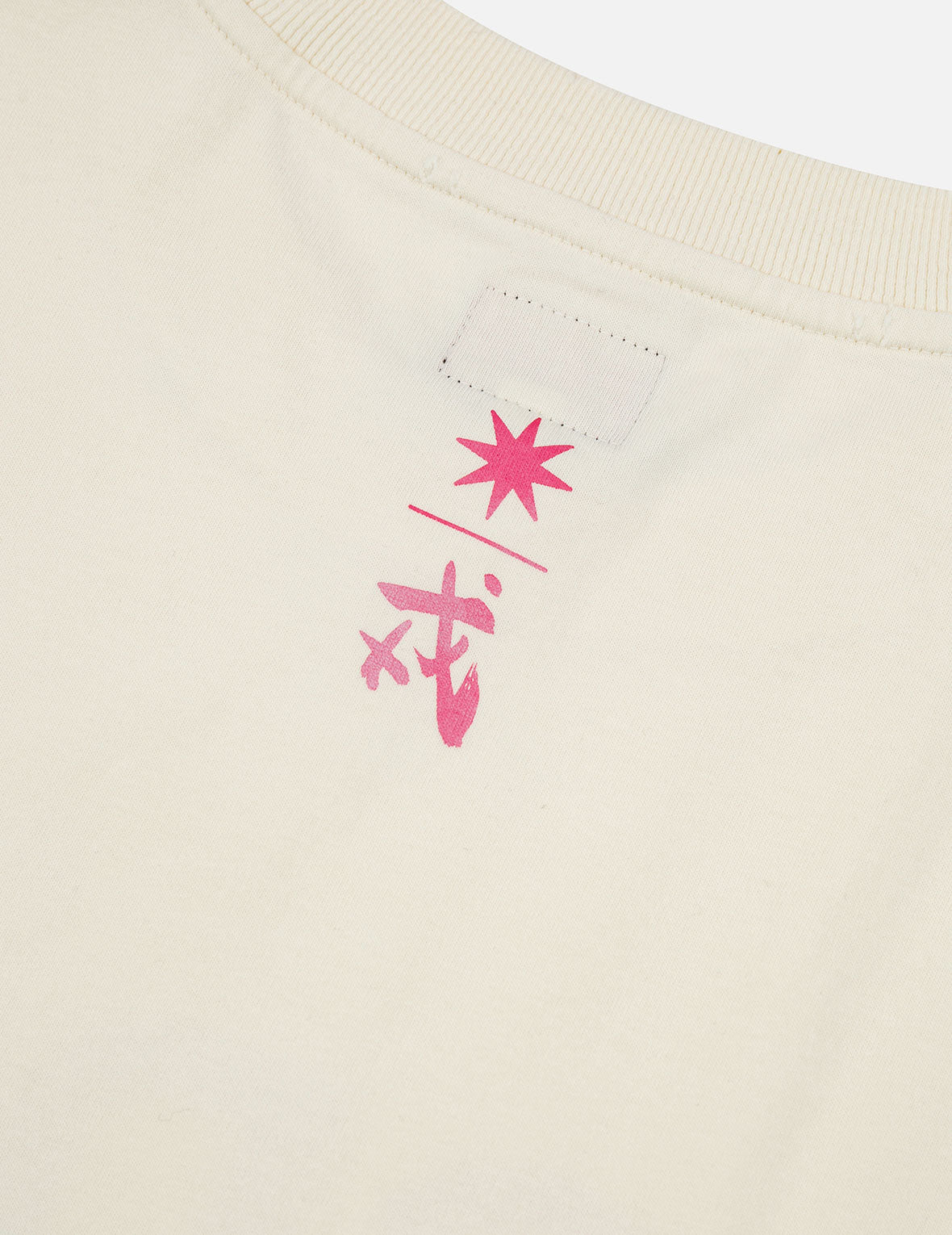 EVISU X GDC ダーティーウォッシュド リラックスフィット Tシャツ