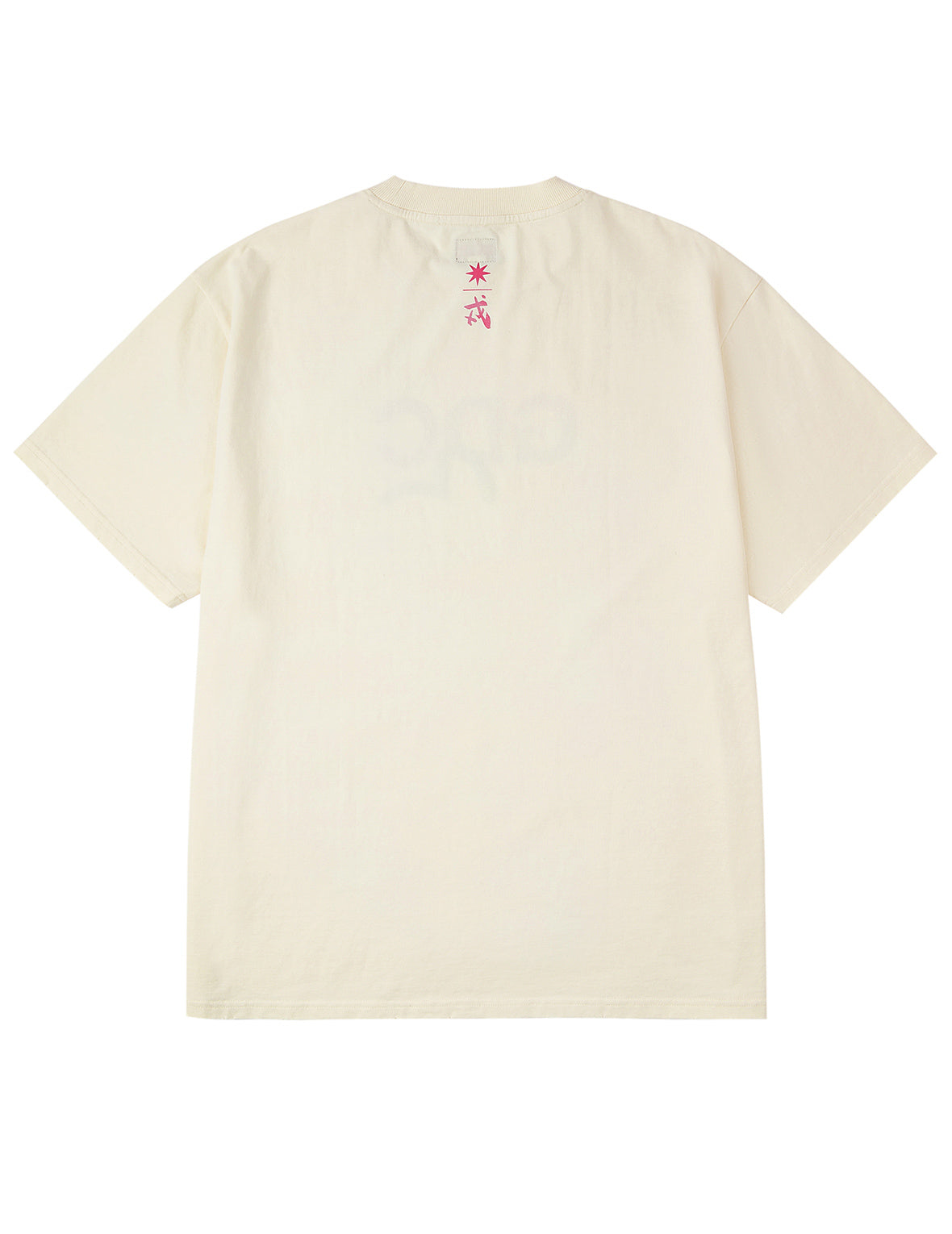 EVISU X GDC ダーティーウォッシュド リラックスフィット Tシャツ