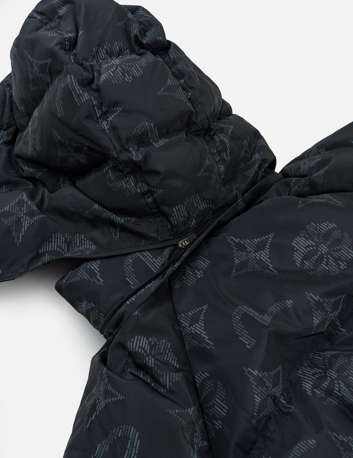 Two-Tone Monogram Hooded Down Jacket