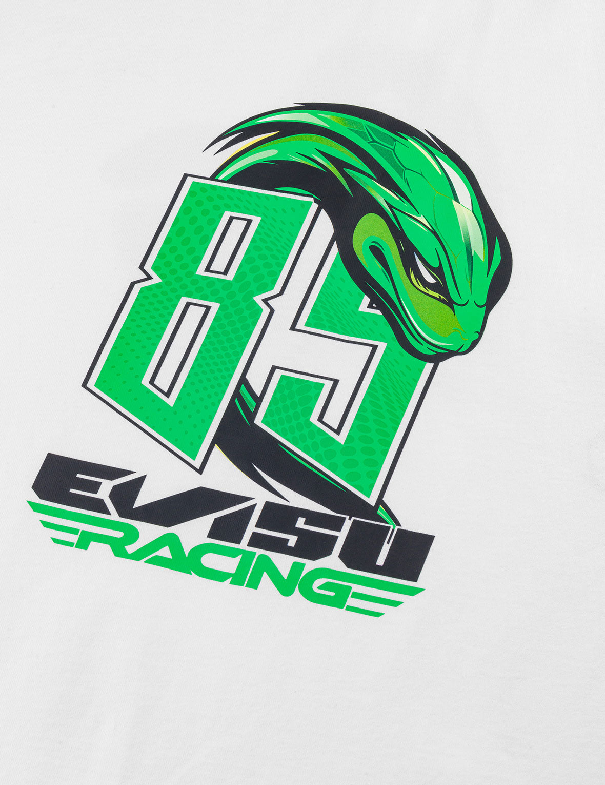EVISU X YIBO タイワンアオハブ蛇影 レギュラーフィットTシャツ